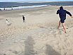 Strand und Stockbrot