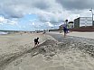 Strand und Stockbrot