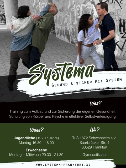 Systema Flyer 230811 sm
